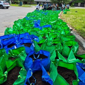 photo of rows of garden bags filled with soil